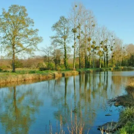 La Des Jonquilles Saint-Victor (Allier)